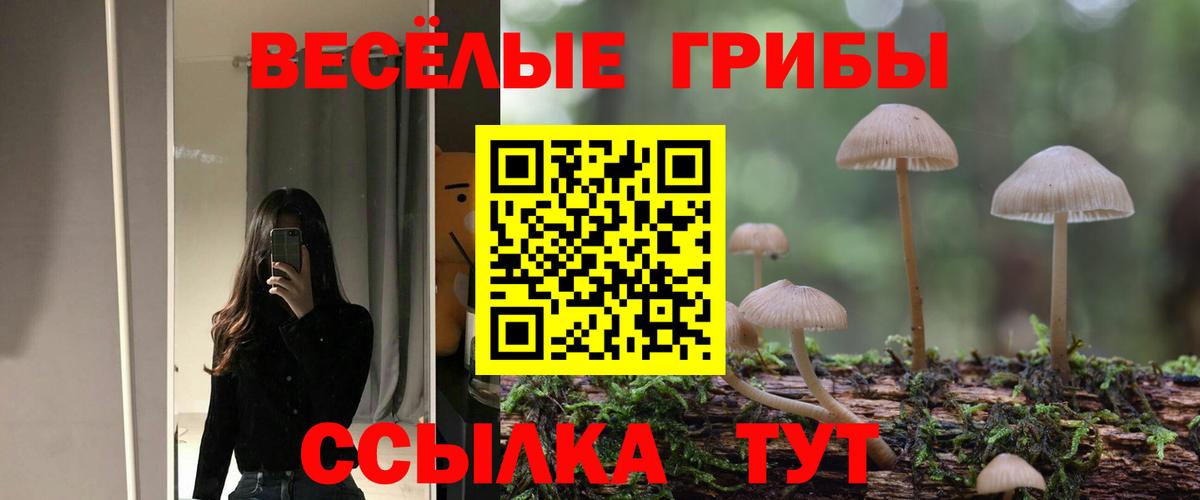 Галлюциногенные грибы ЛСД Тимашёвск